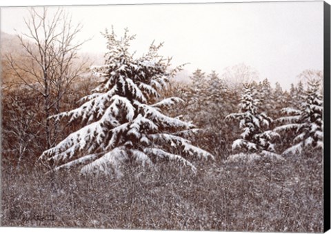 Framed First Snow Print