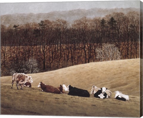 Framed Contented 3 Print