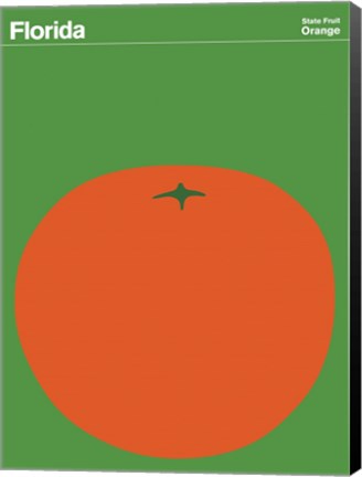 Framed Montague State Posters - Florida Print
