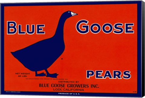 Framed Blue Goose Pears Print