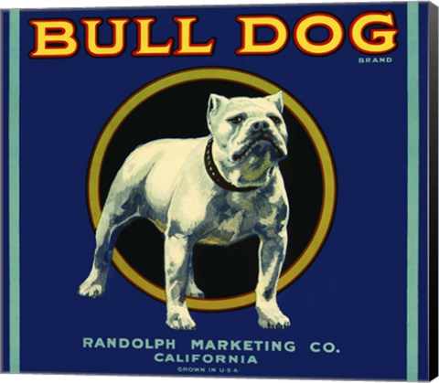 Framed Bull Dog Brand Print