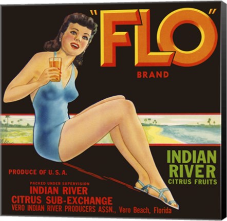 Framed &quot;&quot;FLO&quot;&quot; Brand Citrus Print