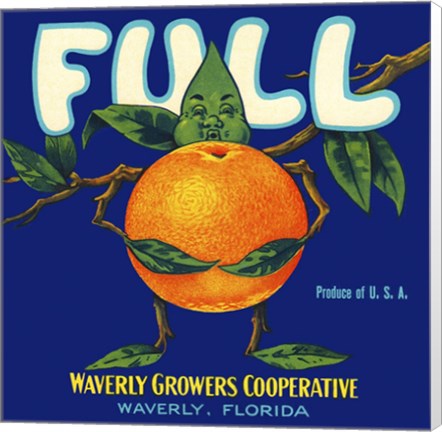 Framed Full Florida Citrus Print