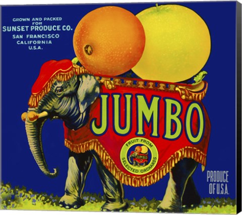 Framed Jumbo Orange and Grapefruit Print