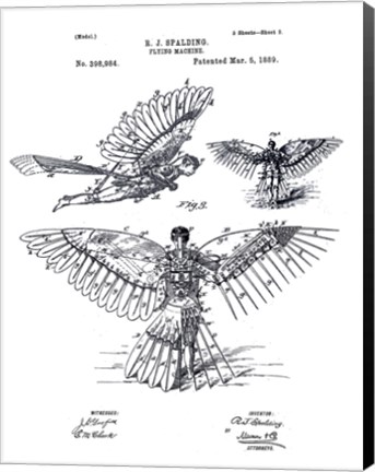 Framed Flying Machine, R. J. Spalding Print