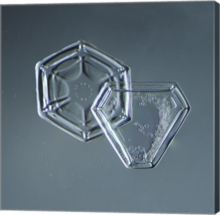 Framed Hexagonal and Triangular Plate Snowflakes 005.2.9.2014 Print