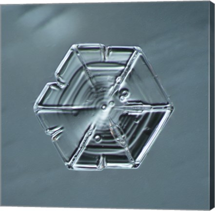 Framed Hexagonal Plate Snowflake 002.2.14.2014 Print
