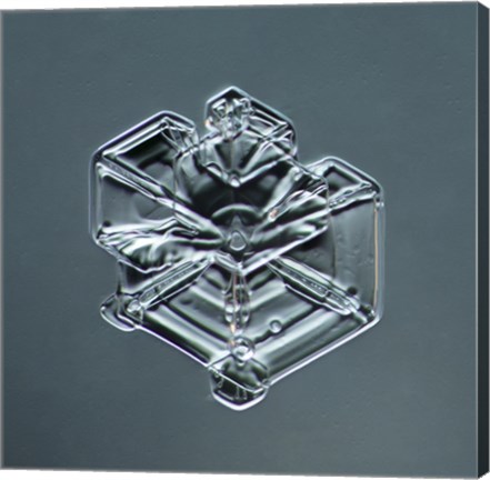 Framed Hexagonal Plate Snowflake 003.2.9.2014.1 Print
