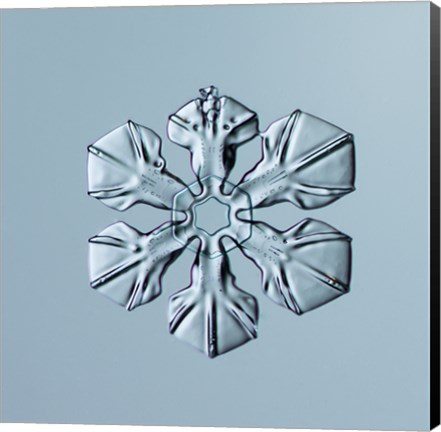Framed Sectored Plate Snowflake 001.3.02.2014 Print