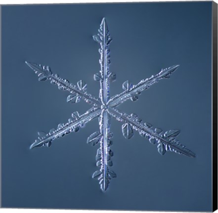 Framed Simple Star Snowflake 002.2.16 Print
