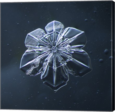 Framed Snowflake 009.2.9.2014 Print