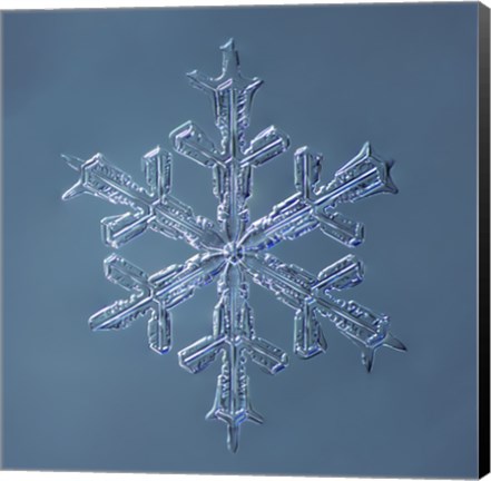 Framed Stellar Dendrite Snowflake 001.2.16.2014 Print