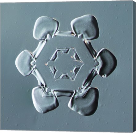 Framed Stellar Plate Snowflake 001.2.14.2014 Print