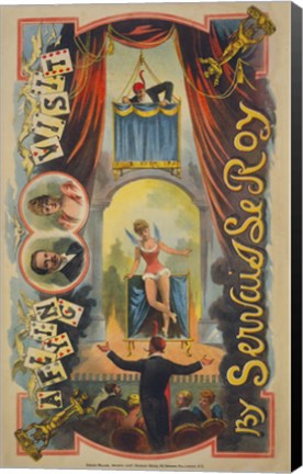 Framed Flying Visit by Servais Le Roy Print