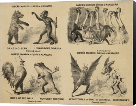 Framed Older&#39;s Museum, Circus &amp; Menagerie Print
