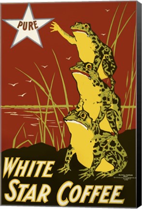 Framed Pure White Star Coffee, Frogs Print