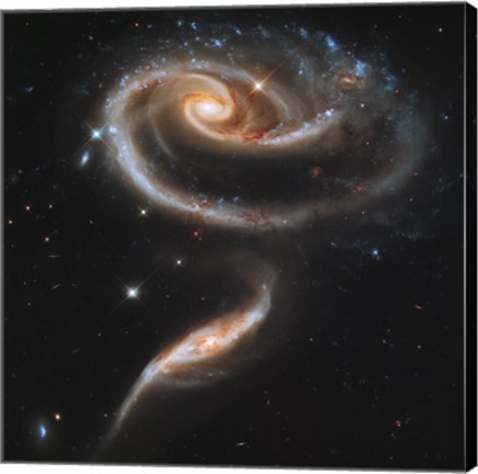 Framed &quot;&quot;Rose&quot;&quot; Made of Galaxies Highlights Hubble&#39;s 21st Anniversary Print
