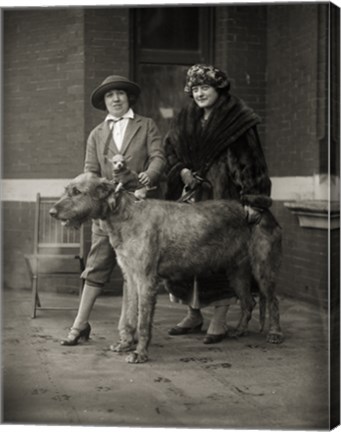 Framed All Creatures LARGE and small Print