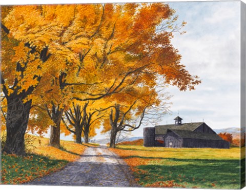 Framed Golden Maples Print