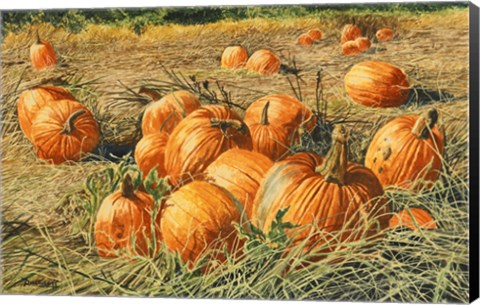 Framed Pumpkin Harvest Print