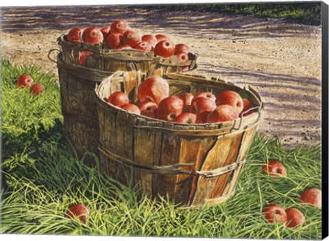 Framed Apple Bushels Print