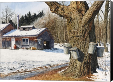 Framed Sugarhouse Near Becket Print