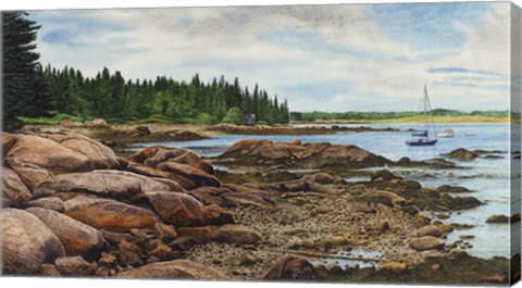 Framed Spruce Head Penninsula (ME) Print
