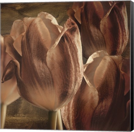 Framed Copper Tulips Print
