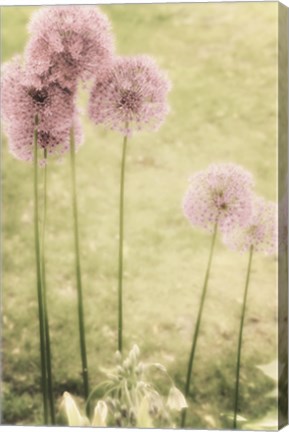 Framed Forgotten Summer Print