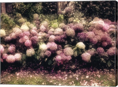 Framed Diamond Pink Print