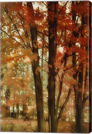 Framed Red Forest Print