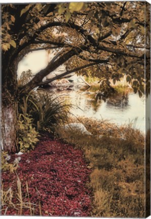 Framed Under the Tree Print