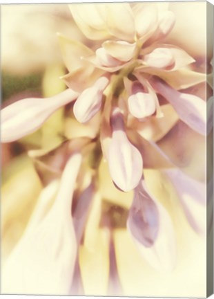 Framed Whispers and Wantings Print