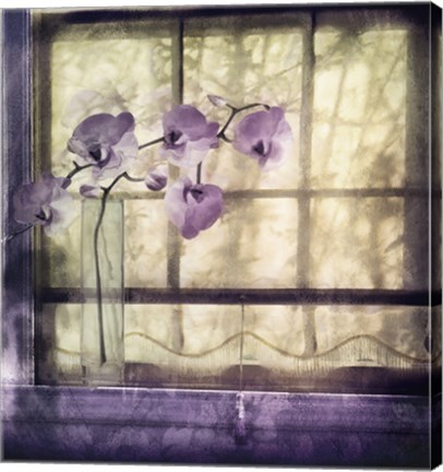 Framed Window Orchids Print