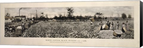 Framed Picking Cotton in GA 1915 Print