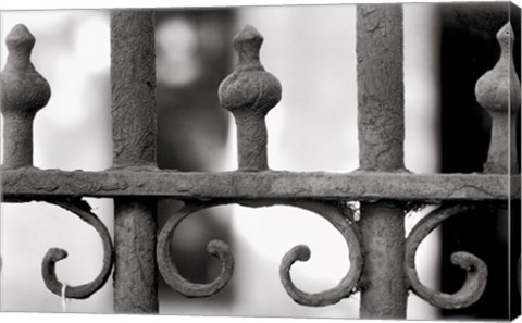 Framed Grating Print