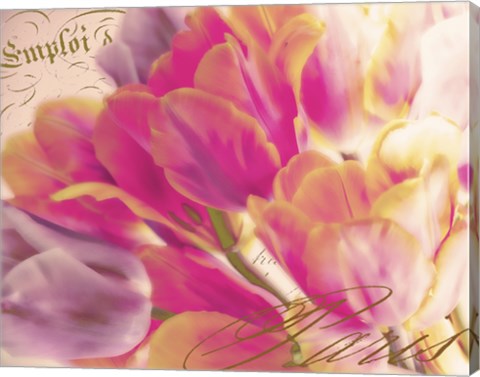 Framed Tulip Glow Print