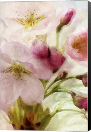 Framed Pink Cherry Blossom Print