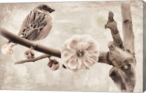 Framed Plum Blossom Print