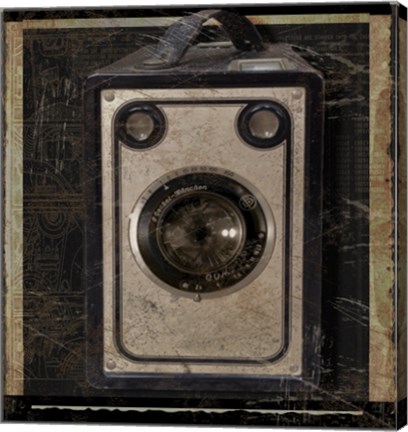 Framed Nostalgica: Vintage Camera Print