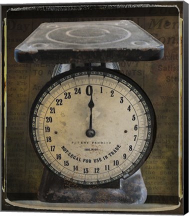 Framed Nostalgica: Vintage Scale Print