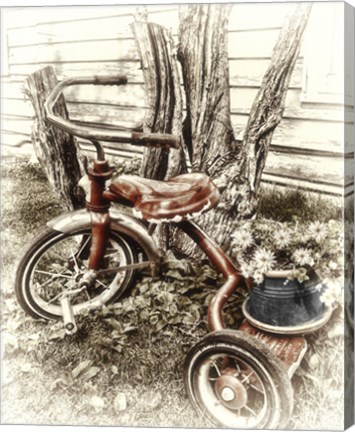 Framed Red Tricycle Print