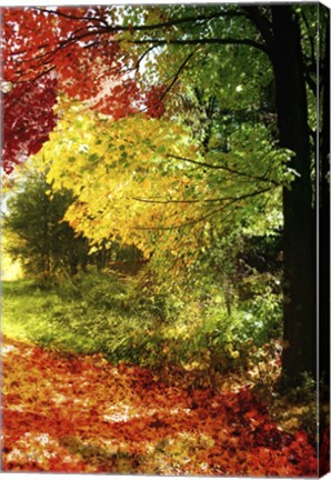 Framed New England Autumn III Print