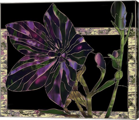 Framed Balloon Flower Print