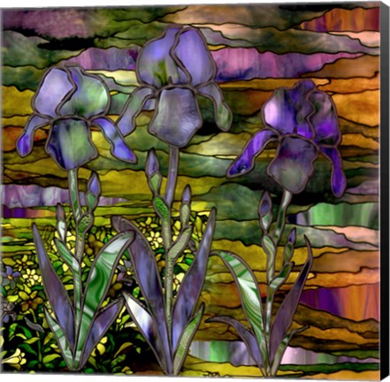Framed Sunset Irises Print