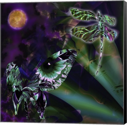 Framed Night Safari Print