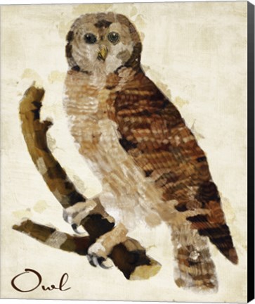 Framed Brown Owl Print