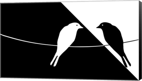 Framed Black and White Birds Print