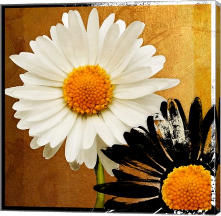 Framed Eclipse Print