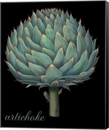 Framed Artichoke Print